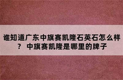 谁知道广东中旗赛凯隆石英石怎么样？ 中旗赛凯隆是哪里的牌子